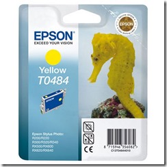 Epson T0484