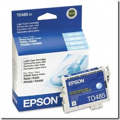 Epson T0485