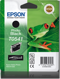 Epson T0541