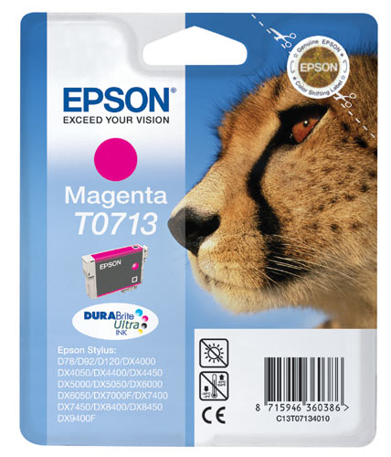 Epson T0713