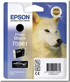Epson T0961