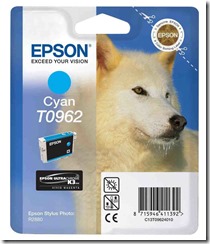 Epson T0962