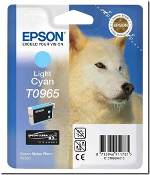 Epson T0965