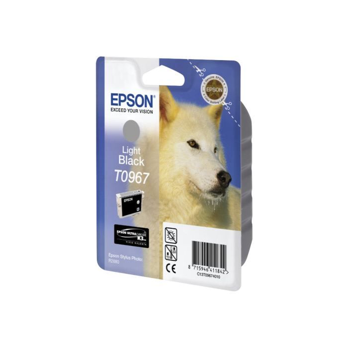 Epson T0967