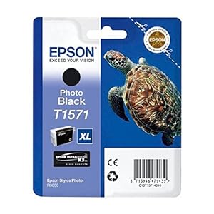 Epson T1571