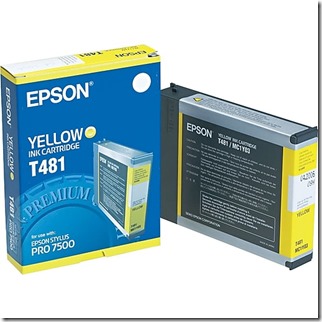 Epson T481