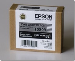 Epson T5809