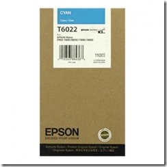 Epson T6022