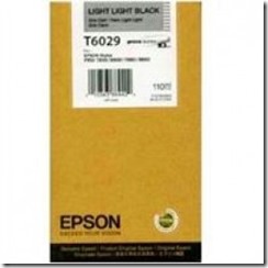 Epson T6029