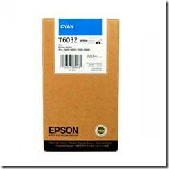 Epson T6032