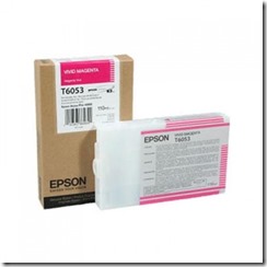 Epson T6053